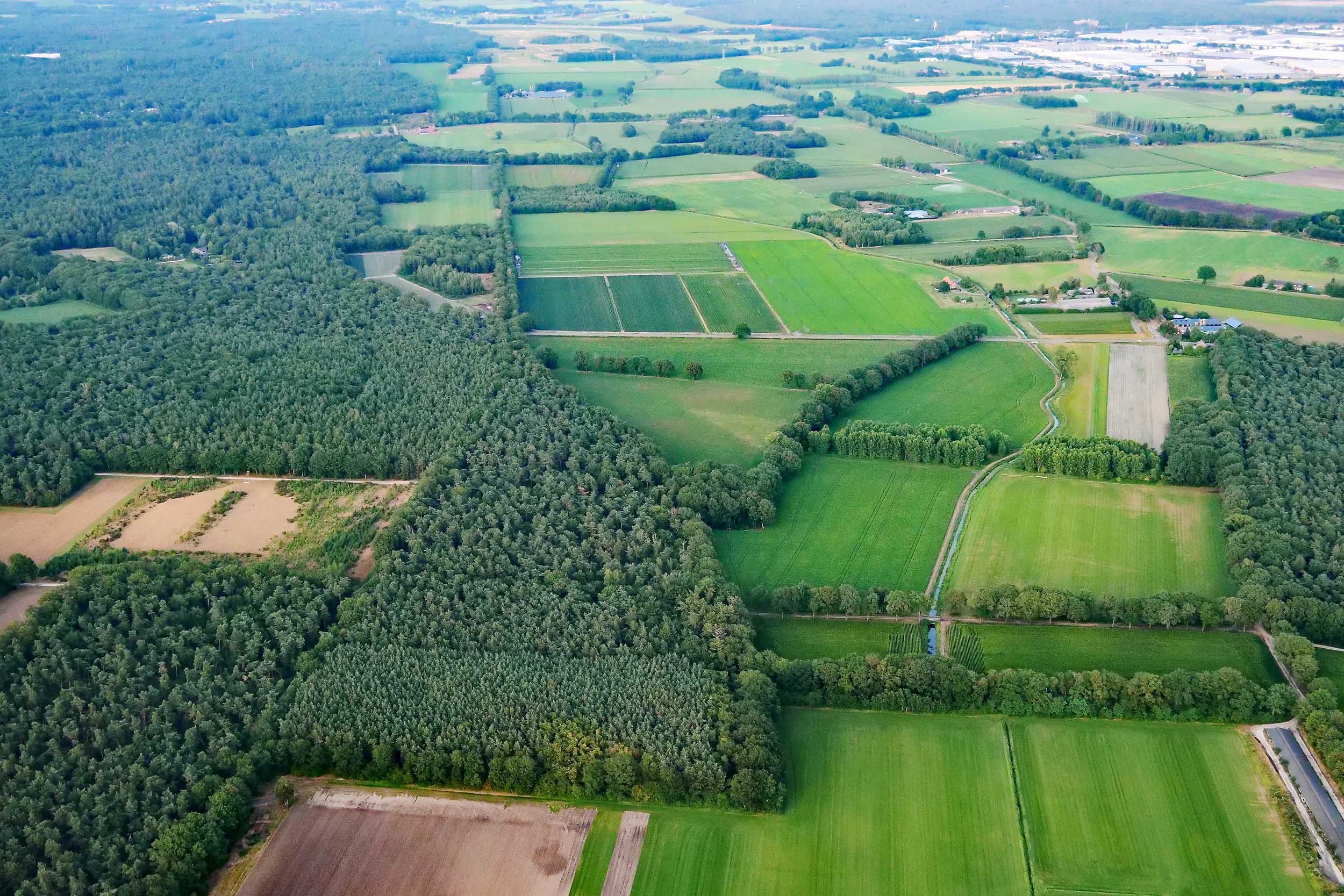 Foto van een natuurgebied